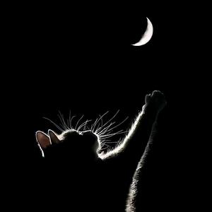 迷你世界地理 头像