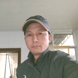 波波头像
