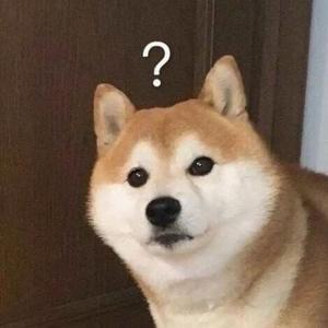 狗哥故事绘头像