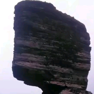 JUnGE头像