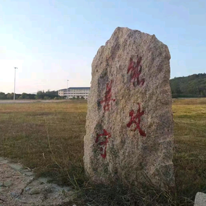 粤·飞越缘头像