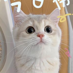 创意可乐3N8f头像