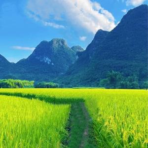 草原66668头像