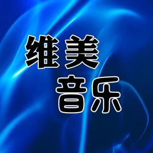 @维美音乐分享头像