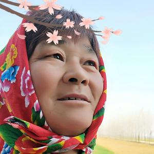 卖棉花的老大妈头像