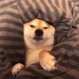 奂喜头像