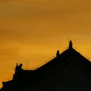 博学多才文艺榆树 头像