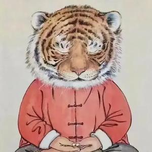 沉思的老虎ve头像