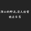 北执2244头像