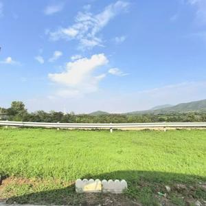 黑子探索头像