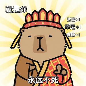 掌心Araise头像