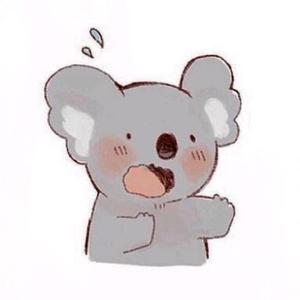 考拉KOALA头像