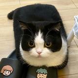 有追求梦想头像