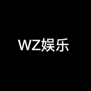 WZ娱乐头像