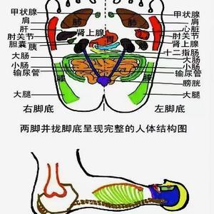 春天39153001头像