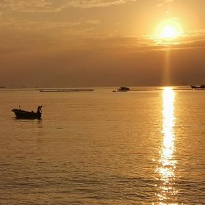 海天732990头像