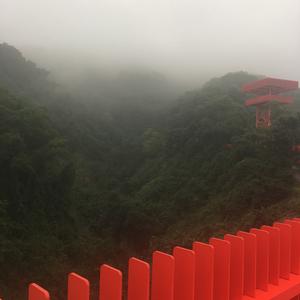 努力生活，一切随缘头像