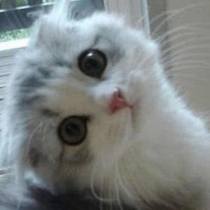 蜡笔聊最炫科技 头像