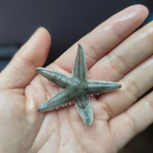 暖暖余味头像