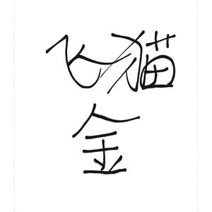 飞猫金游戏解说头像