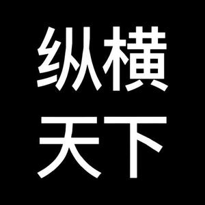 纵横天下事1ISZ头像