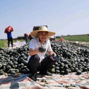 贝贝南瓜基地供应链头像