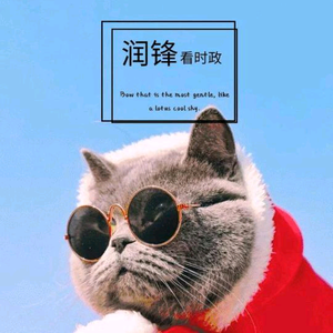润锋财贸头像