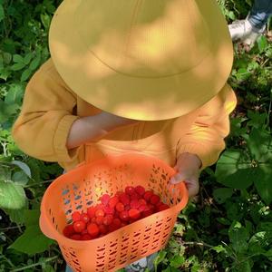 小诗篇讲绘本头像