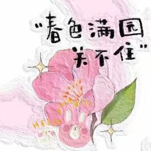 小聂丶安安头像