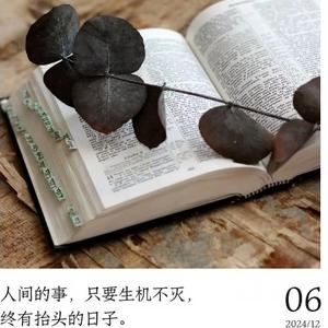 稳如泰山的功夫头像