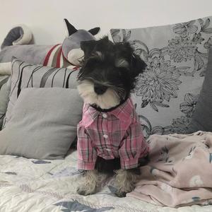 小边头像
