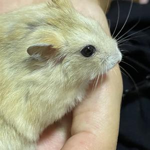 烨腾头像