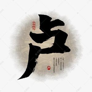 卢师经济头像