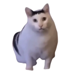 Ethereal启蛰头像