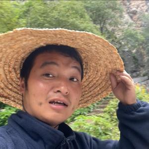 大个一米九闯地球（正能量）头像