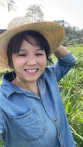 乡野英子(供销甄选)头像