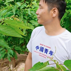 海子哥1头像
