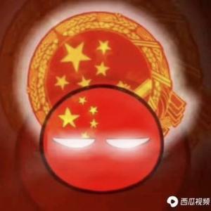 中国波兰球头像