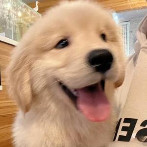 关于小李头像