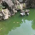 A冒泡3头像