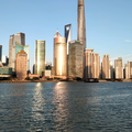 兔不惑18头像