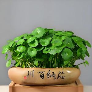 文青爱美食头像