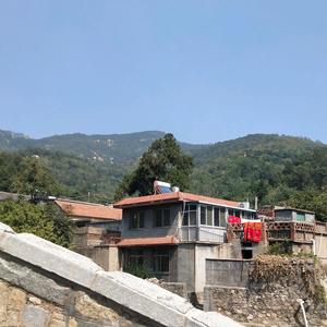 蓝光视觉爱好者头像