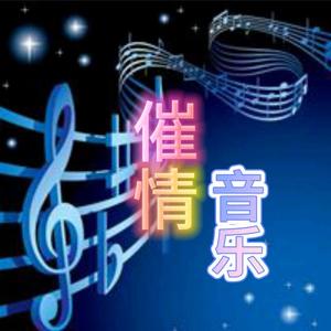 逝光音乐头像