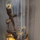 渝乡杰夫头像