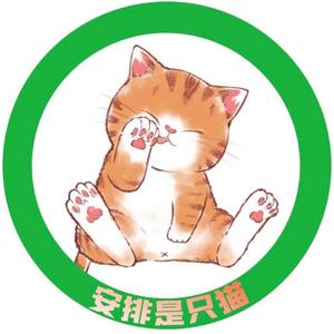 安排是只猫头像