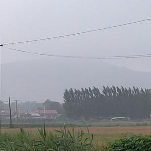 煊慧爱分享头像