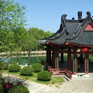 酒歌说漫158头像