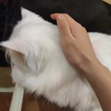 爱生活阿萨6U7H3头像