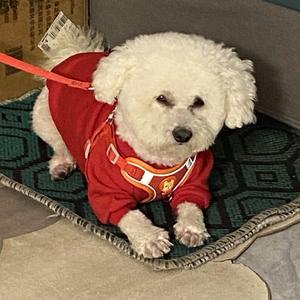 恒妈头像